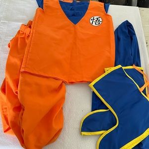 Youth large Dragon Ball Z Goku costume